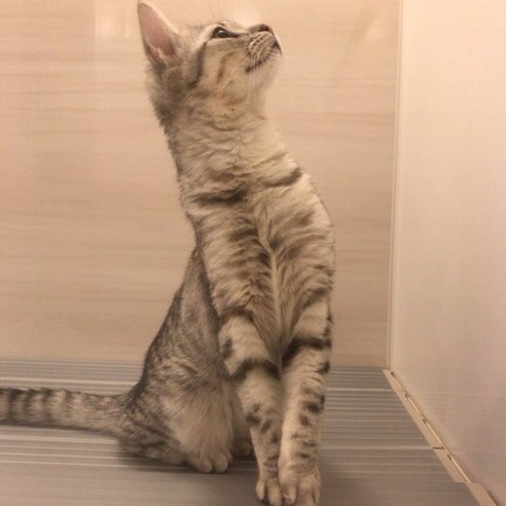 A90c3cec 9d68 4d7a 941a 6ae1aa9ad509