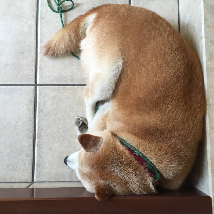 A90c79bf 36e0 4607 856d 97cc6ceb1546