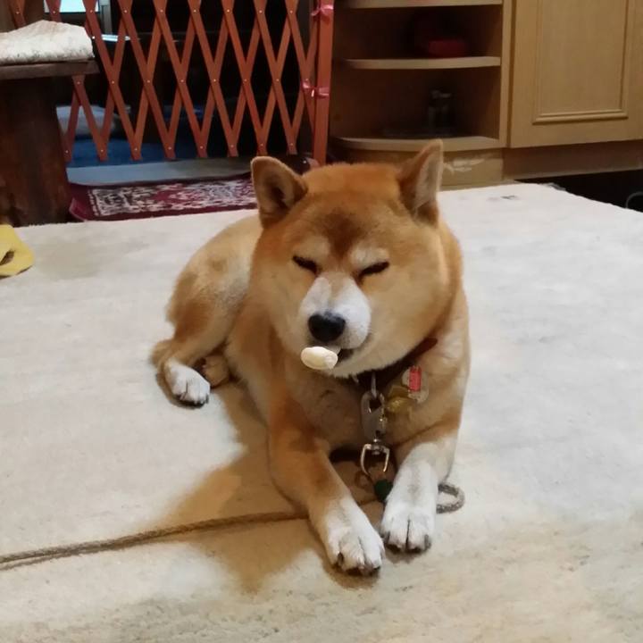 A90d51b7 021a 4351 b5df 9e449e0b9e13