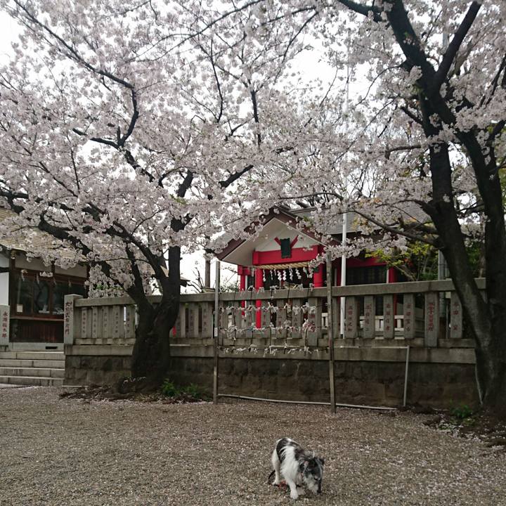 A90d87de 7182 4136 a80d aba400458023