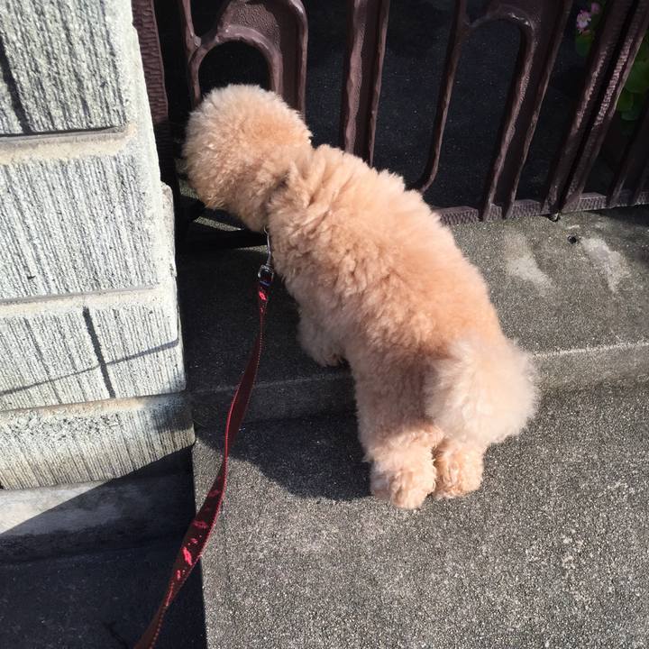 A90e33d3 1997 41e9 992a 52bbd5f831a6