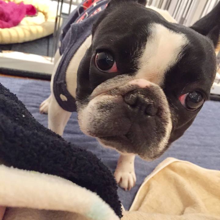 A90f4763 8079 4634 9831 2f1f02f50083