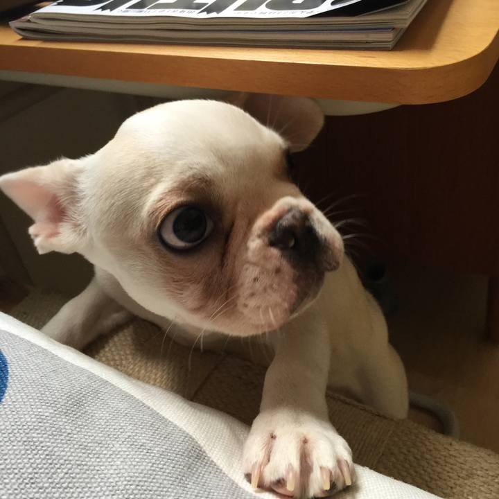 A9110c50 5233 4f29 9bd4 0cdb5f1c87b3