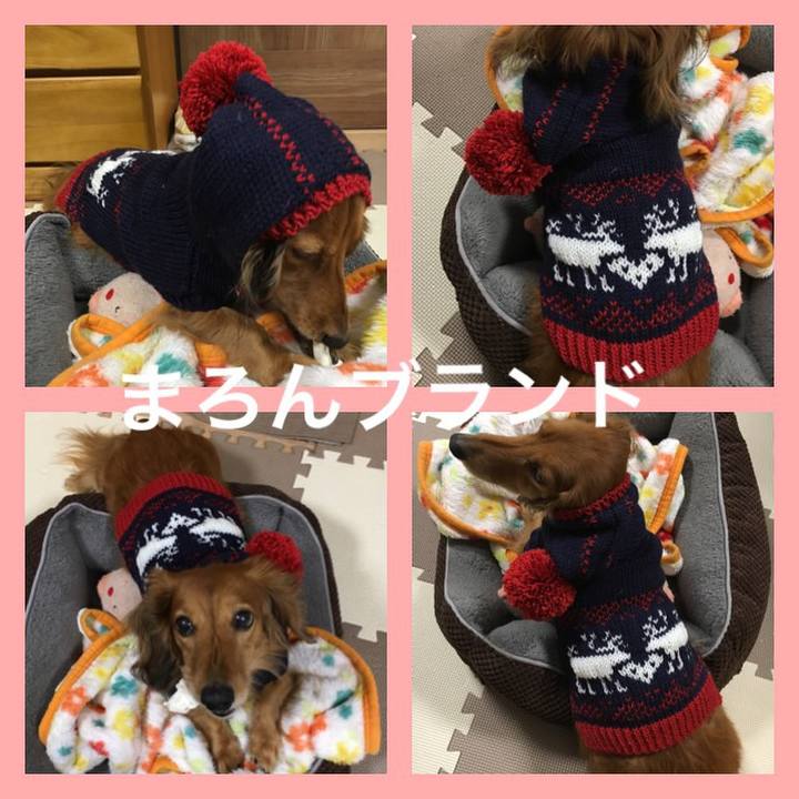 A911927b 0388 4ada 88ab 389cf64a4cfa