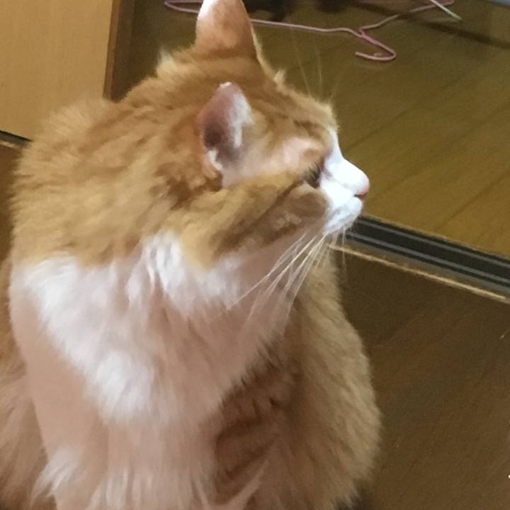 A91199e4 3f92 46f4 b737 3c37710e0796