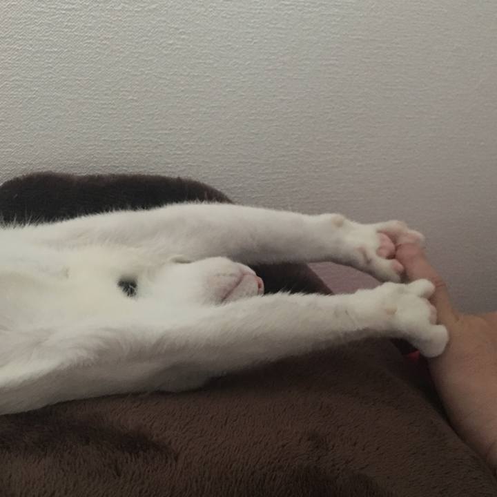 A911d911 4a8d 4ba3 92ea d28f72cd575c