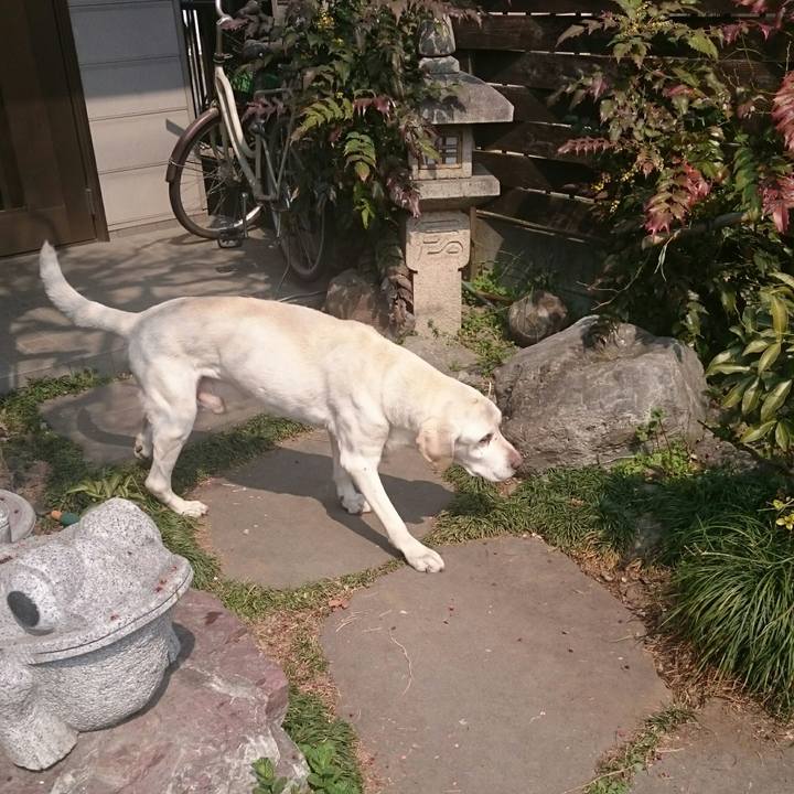 A912058a 8e76 4eb8 a8e1 2d4f6682facc