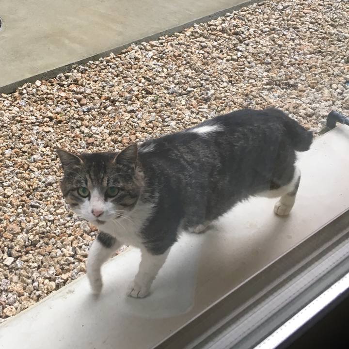 A9137825 141e 4c05 8860 2fc3114746ae