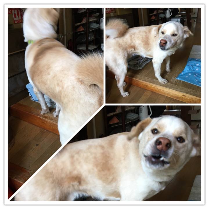 A913c069 2ced 49bf a4f6 1aae4772b9d0