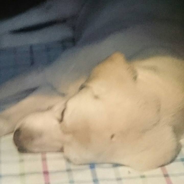 A9150ae2 8e22 459e 8396 eb6214848c90