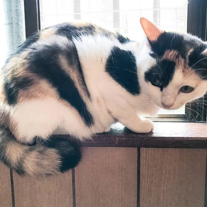 A9153e5b 989d 4a65 8879 c11b39f7eab2