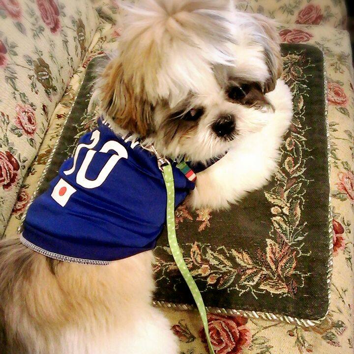 A91596cc 3134 43cb a4f5 6ccc4b84f37e