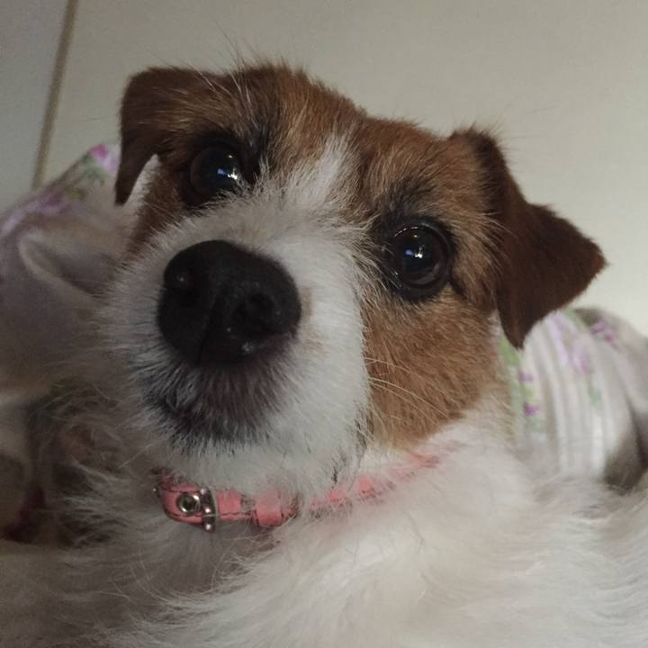 A915b5ec 012e 44f9 9e2b a4676cdb261b