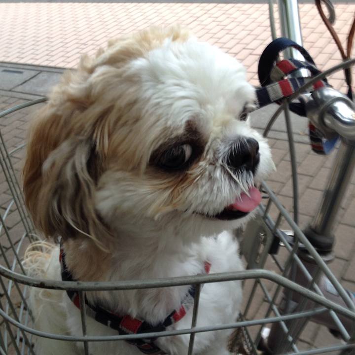 A9164578 d950 4c20 8a32 fd5d5d60383e