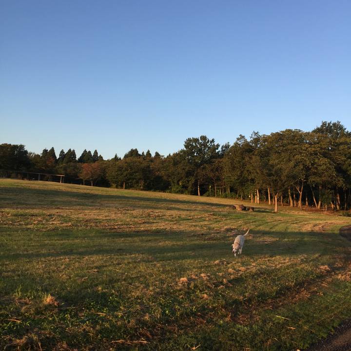 A916578a f894 4ca5 b335 58445aa534d3