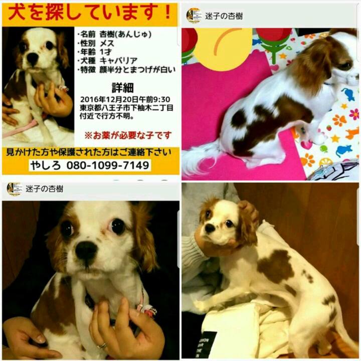 A916b722 31da 437a 8da8 7ce16deb24ca