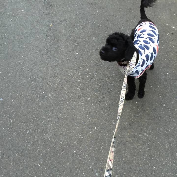 A91759f1 992c 449c ba76 eeacc8286e34