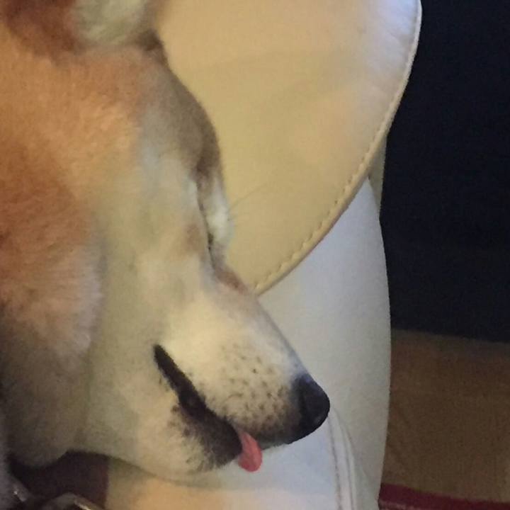 A918a89c ae97 4ab3 9f11 afc3e5979bdb