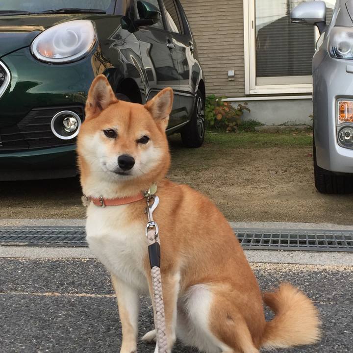 A91916b1 0a44 451b b39b d7d241d7d4fc