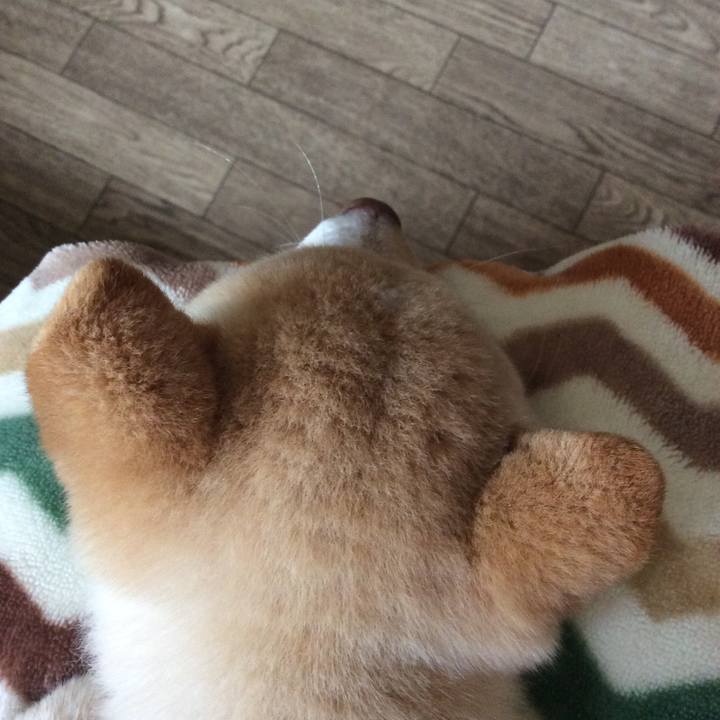 A9195542 f8cd 4dd2 bce7 54ce8db784ce