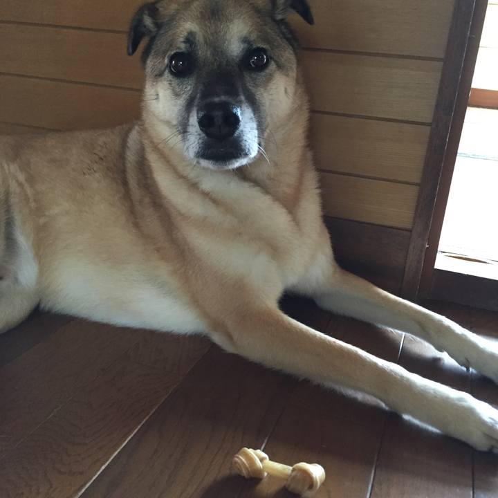 A91aa076 9662 456a 821a 0e5c3dbe208e