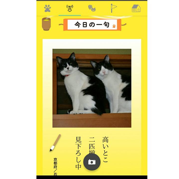 A91b8a18 cbfd 4504 b48a 0ddc195e2de4