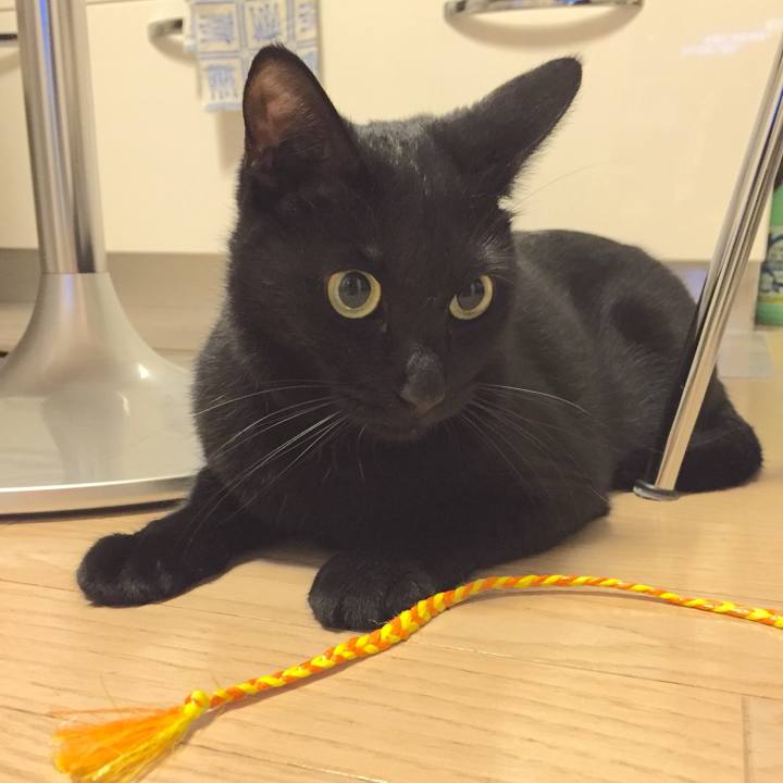 A91b9ea5 7424 4b73 9772 c7fe21462d99