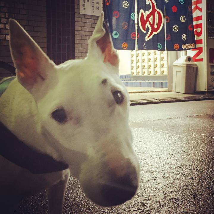 A91c2eba 5c2f 49ba 8874 cb6bde772b52