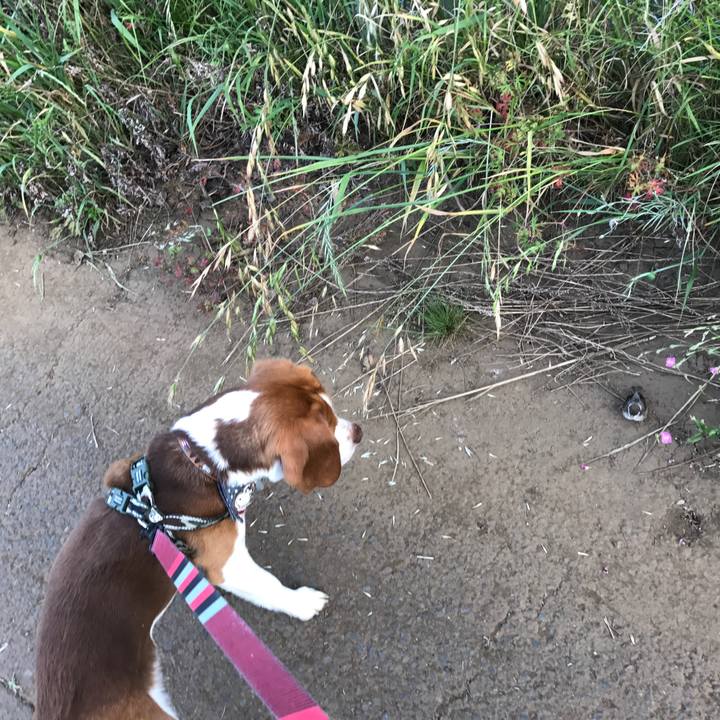 A91cd66e 3e7c 445e a651 054201ae4a95