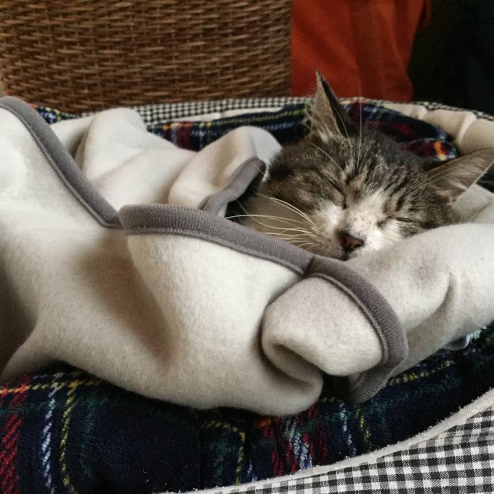 A91d670b 5a95 4af5 b291 de44a5aa862a