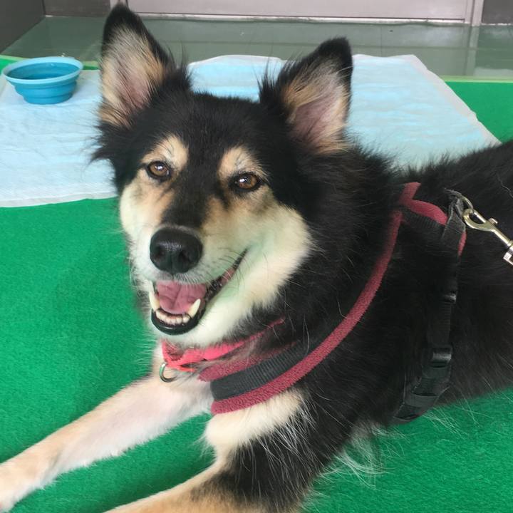 A91d9d37 2bf1 4a40 bfbc 23ad247f4259