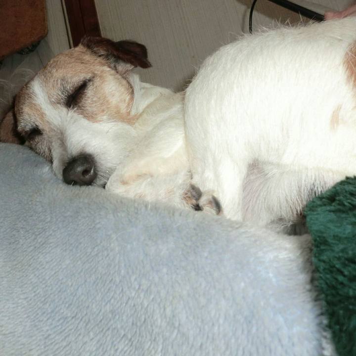 A91e95c4 f9e7 4dbe 810c 2ef992367c11