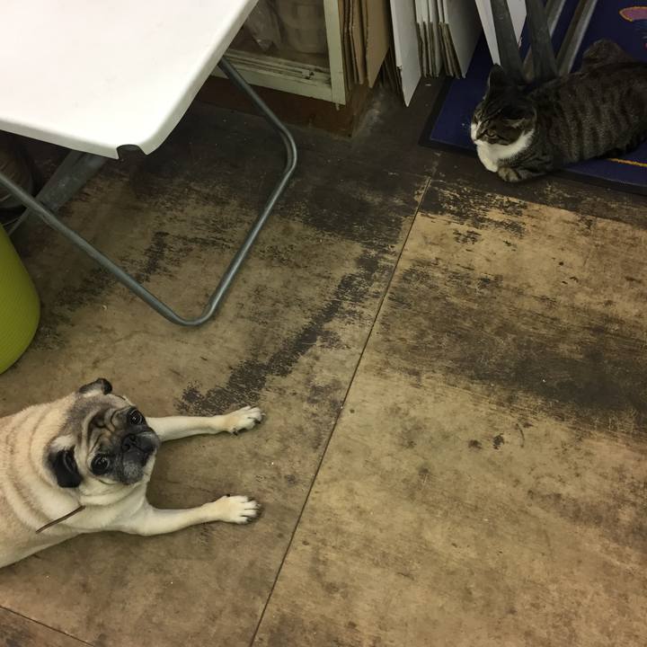 A91eadcb 0437 43c2 a995 04d25345d5ea