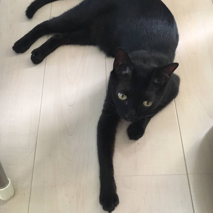 A91ee4de d032 494d b133 b9e68f5d3ecf