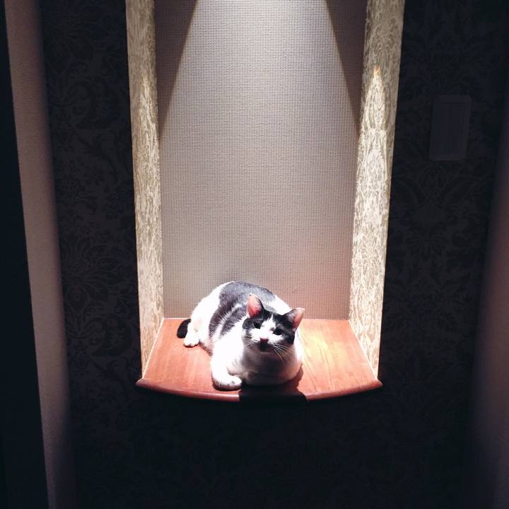 A91f36b3 f864 4f3b bba0 ae82f8846fb3