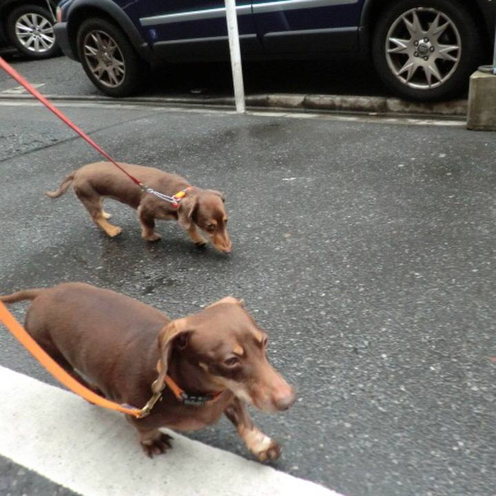 A91ffd6f 32b9 4281 b64e 7c6ca2d5212f