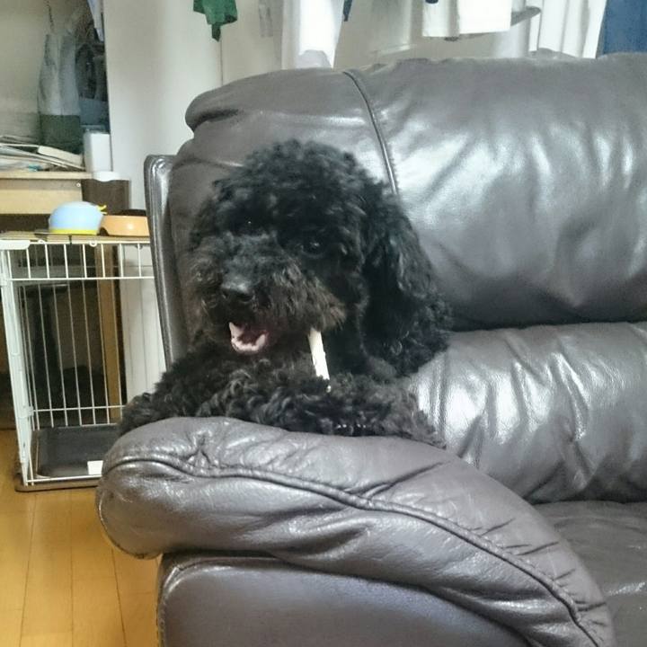 A9206035 ebb0 450b af66 11c1686c6acd