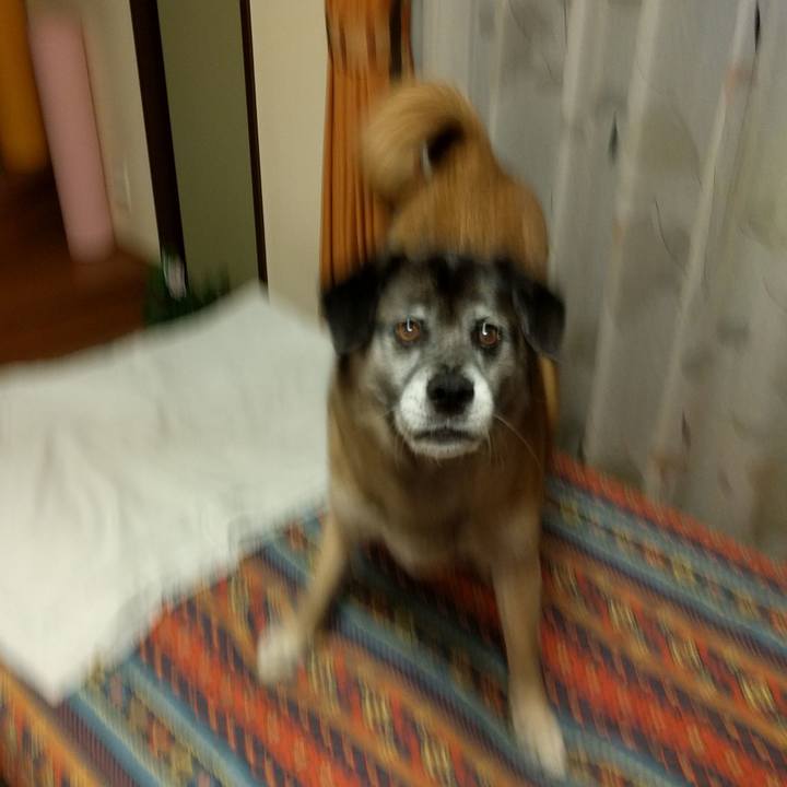 A920e61b 18cc 4873 aa64 6977a22c933f