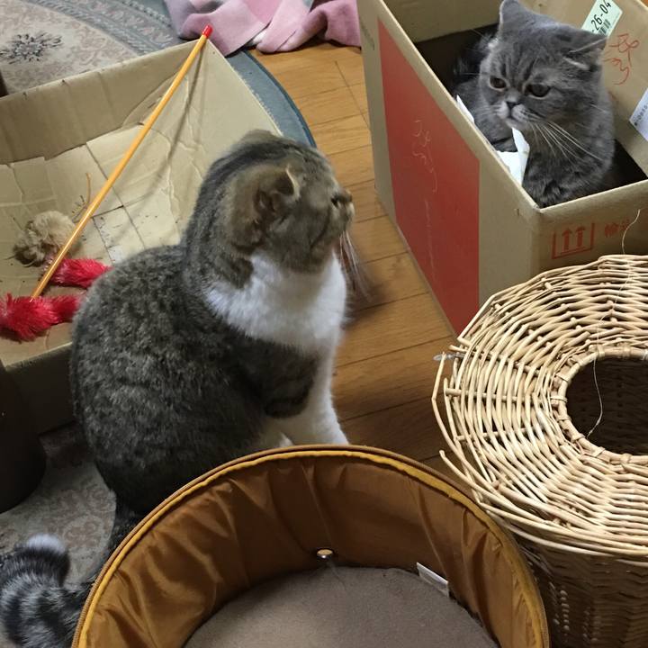 A9214504 71d4 4edf b252 95ad0af5bd1d