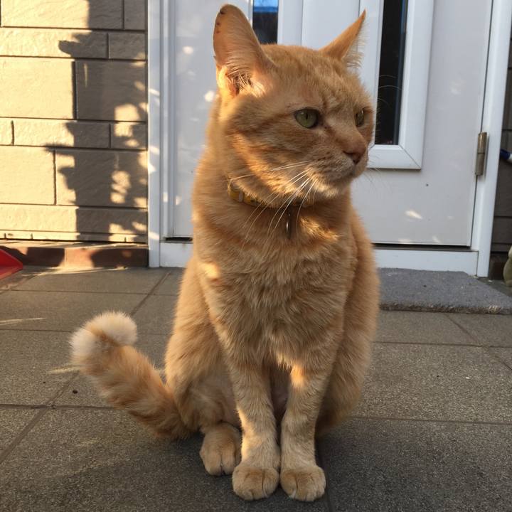 A92202a6 d2a2 4e21 ae04 1f801ad53b3a