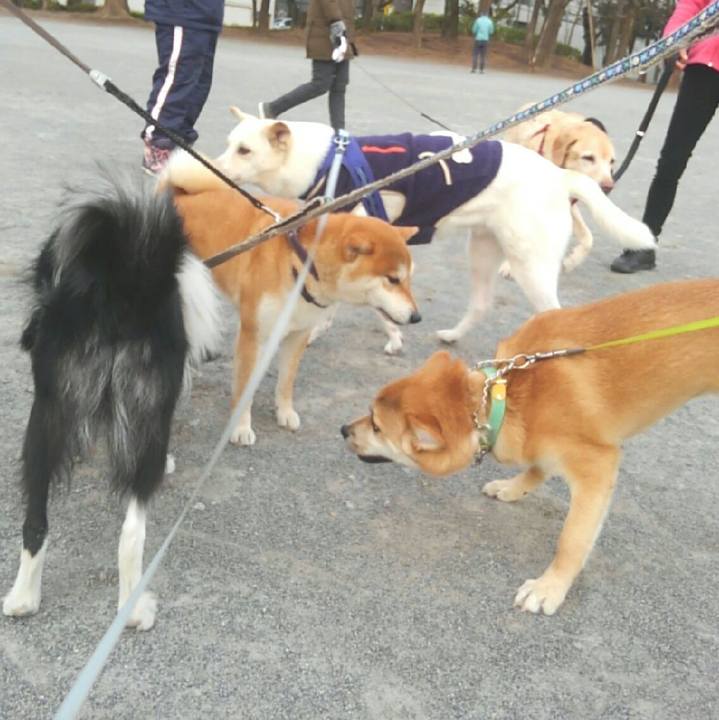 A9224668 9348 49d7 ade4 0110e0980774