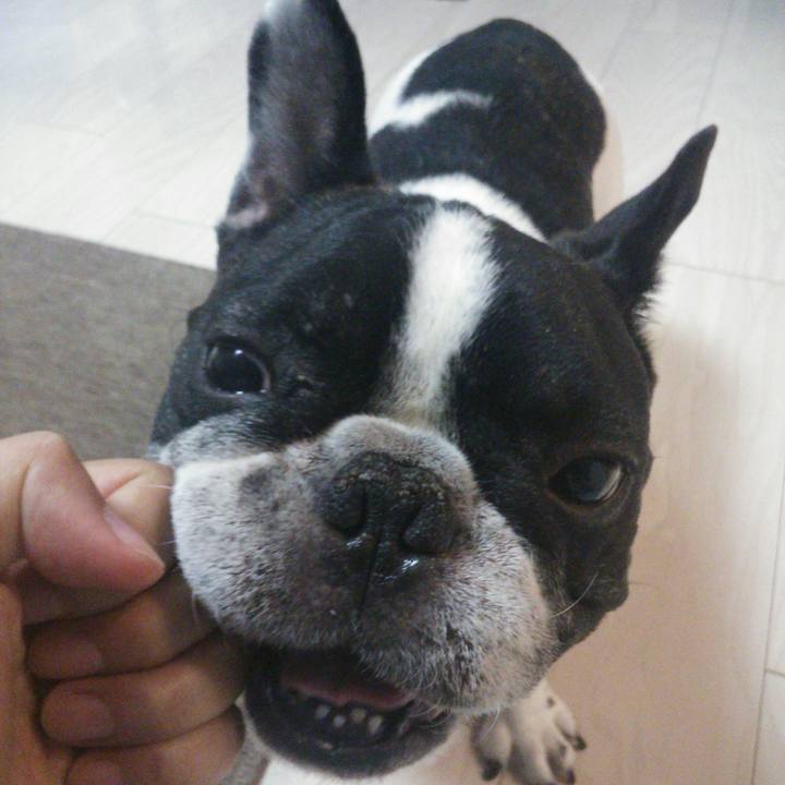 A92271b3 8716 46b9 b702 7854a24aa017