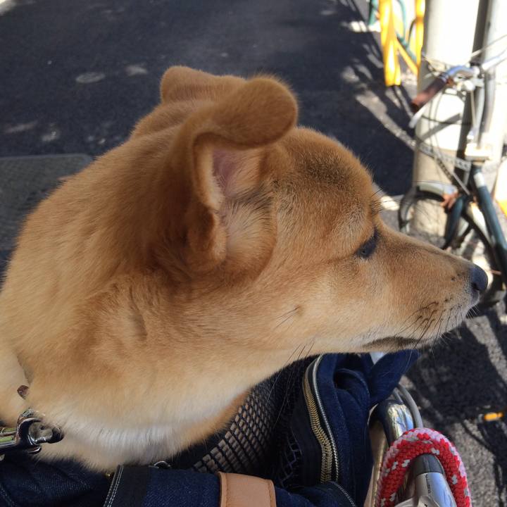 A9231bc3 b9ce 4983 b340 db28018dea84