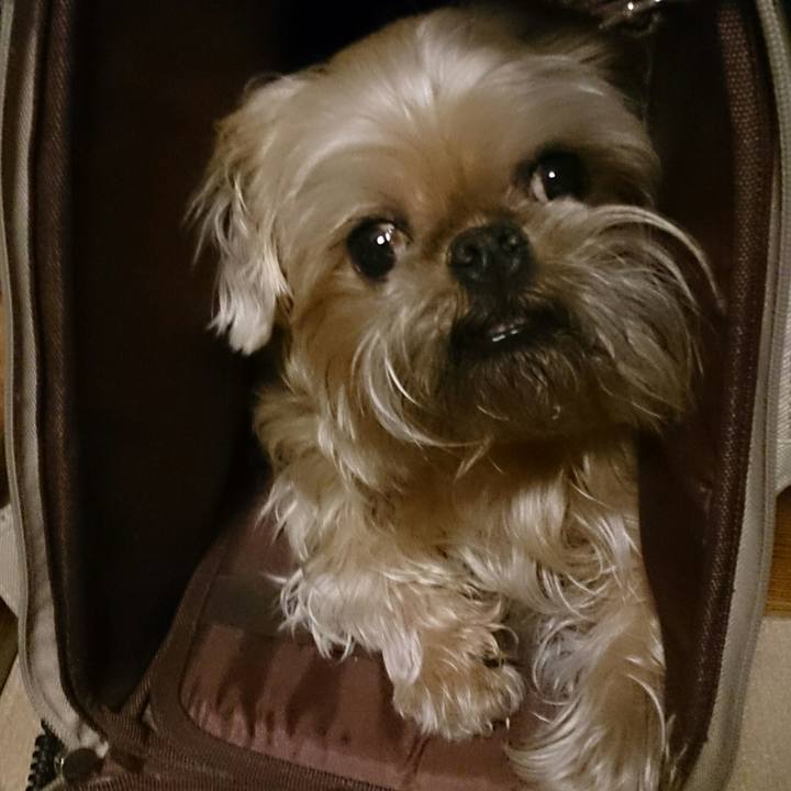 A9232abf 5dcd 4ee6 b6dc 6d025bcbf733