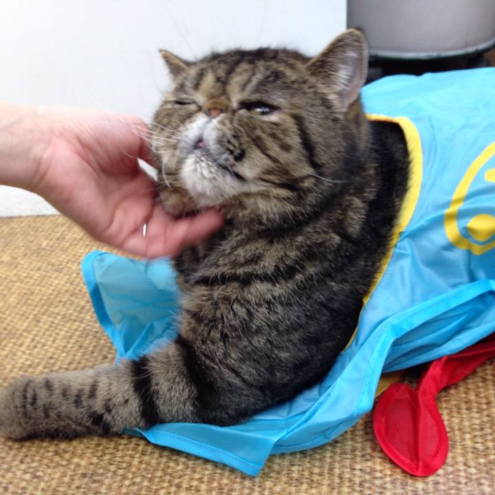 A9232b11 a403 4da1 a64b 57876cf52f1f