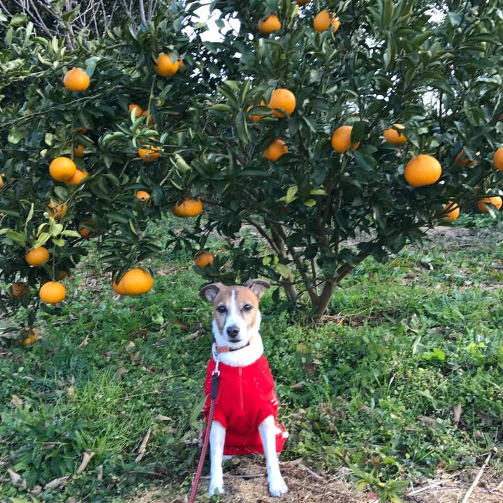 A9236310 4c18 4cdd ac71 5b4326586888