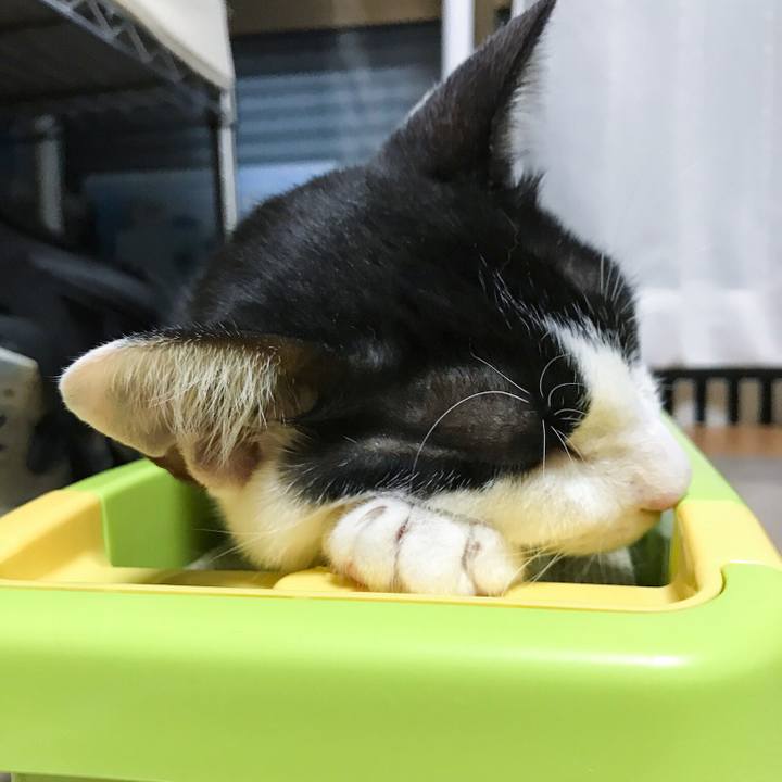 A923b91f 80bf 4838 8841 69d53277463e