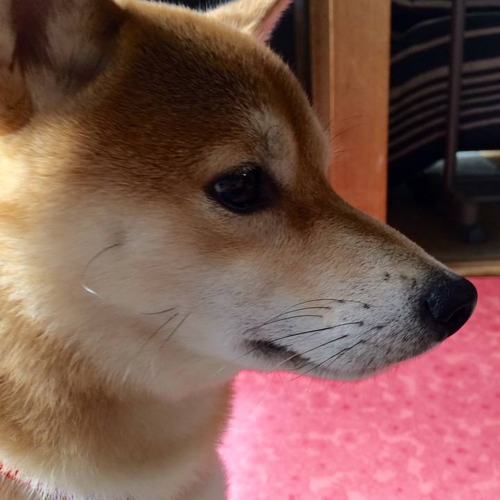 A9241090 7454 422c 8bc5 9e87b1e388a0