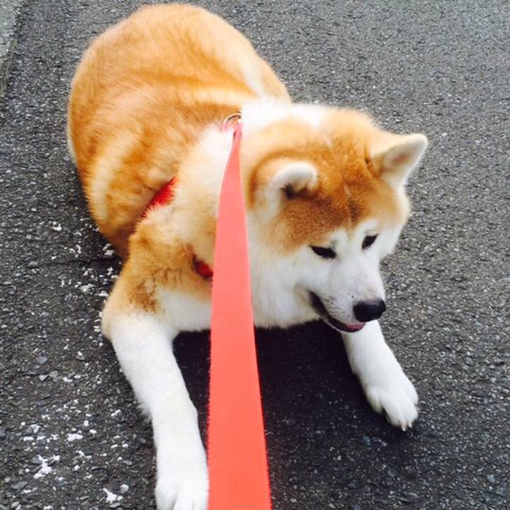 A924947b d01c 4843 9f48 26ff81d78981