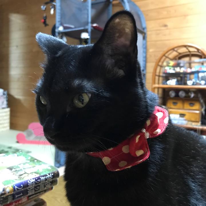 A924c08d 6443 4db4 a579 27b5fe79154e